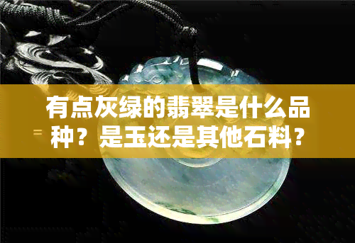 有点灰绿的翡翠是什么品种？是玉还是其他石料？