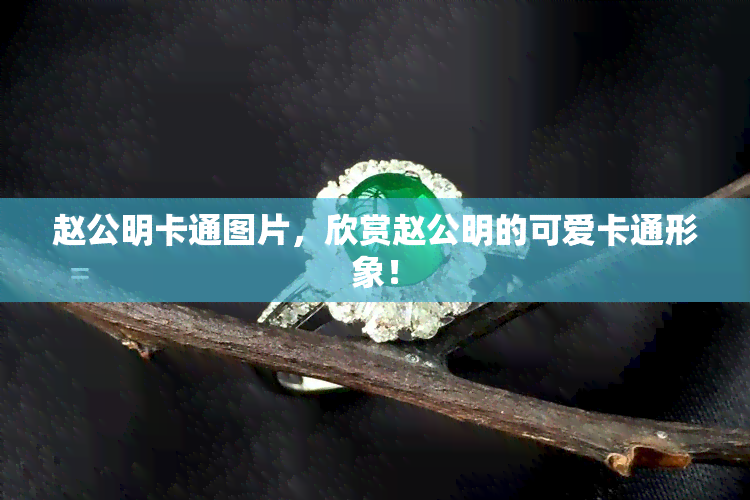 赵公明卡通图片，欣赏赵公明的可爱卡通形象！