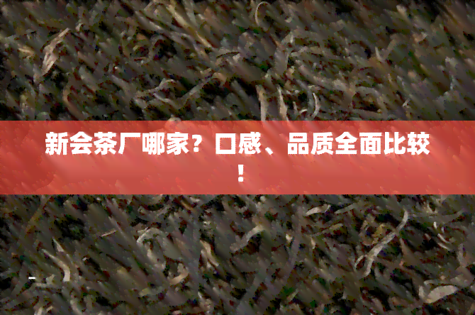 新会茶厂哪家？口感、品质全面比较！