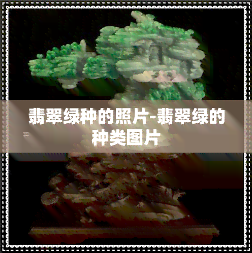 翡翠绿种的照片-翡翠绿的种类图片