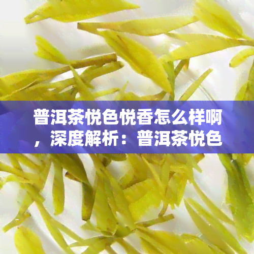 普洱茶悦色悦香怎么样啊，深度解析：普洱茶悦色悦香，你值得拥有吗？