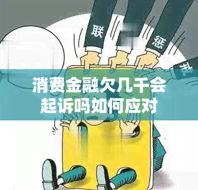 消费金融欠几千会起诉吗如何应对