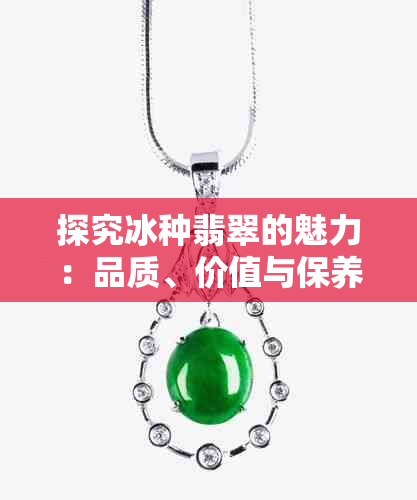 探究冰种翡翠的魅力：品质、价值与保养全解析