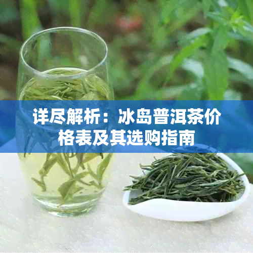 详尽解析：冰岛普洱茶价格表及其选购指南