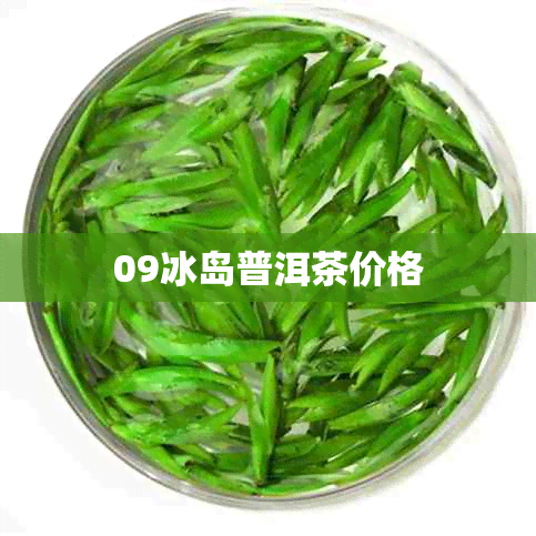 09冰岛普洱茶价格