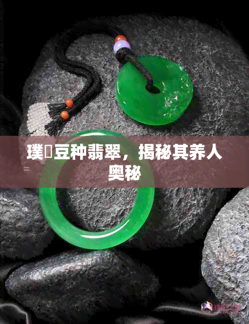 璞嗙豆种翡翠,揭秘其养人奥秘