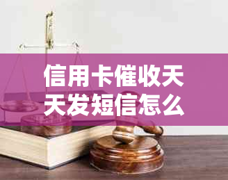 信用卡催收天天发短信怎么办法