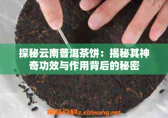 探秘云南普洱茶饼：揭秘其神奇功效与作用背后的秘密