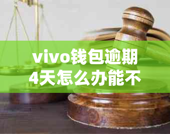 vivo钱包逾期4天怎么办能不能还款