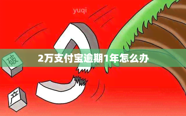 2万支付宝逾期1年怎么办