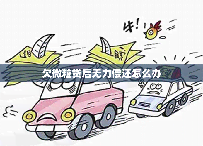 欠微粒贷后无力偿还怎么办
