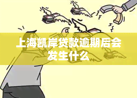 上海凯岸贷款逾期后会发生什么