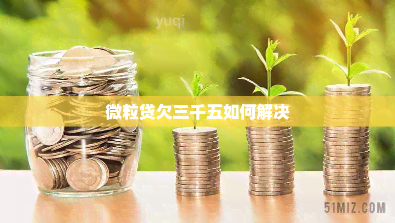 微粒贷欠三千五如何解决