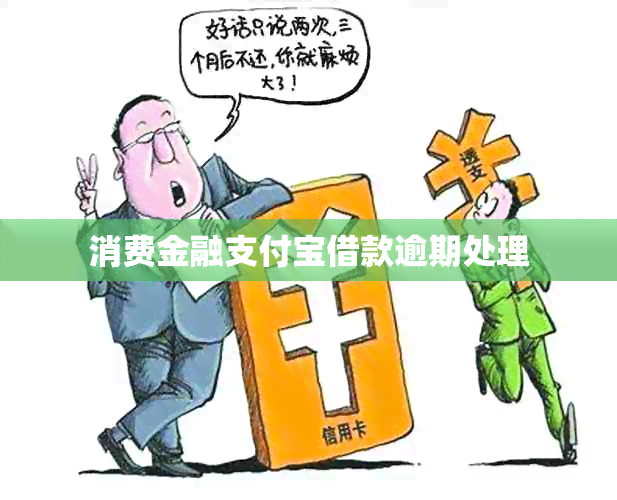 消费金融支付宝借款逾期处理