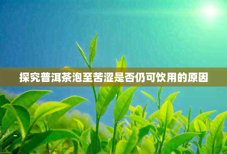 探究普洱茶泡至苦涩是否仍可饮用的原因