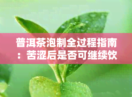 普洱茶泡制全过程指南：苦涩后是否可继续饮用及安全性解析