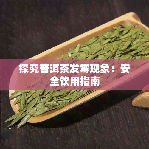 探究普洱茶发霉现象:安全饮用指南
