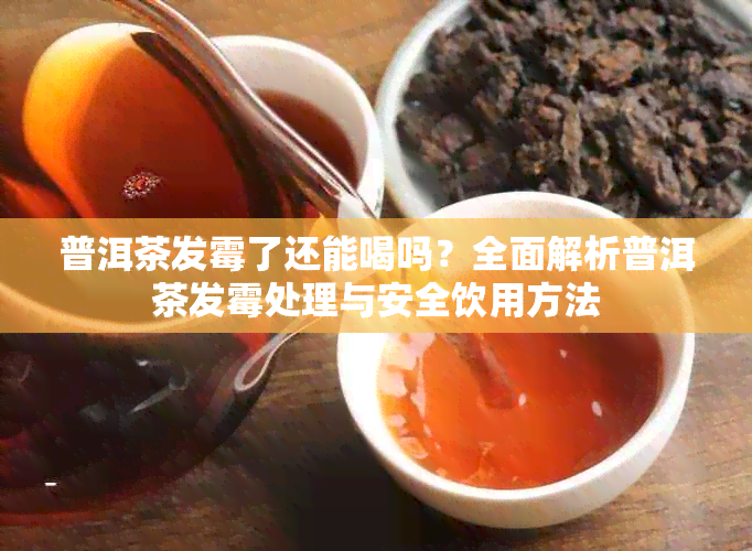 普洱茶发霉了还能喝吗?全面解析普洱茶发霉处理与安全饮用方法
