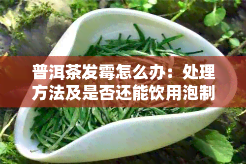 普洱茶发霉怎么办:处理方法及是否还能饮用泡制
