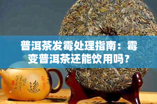 普洱茶发霉处理指南:霉变普洱茶还能饮用吗?