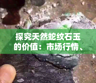 探究天然蛇纹石玉的价值：市场行情、收藏潜力与鉴别要点解析
