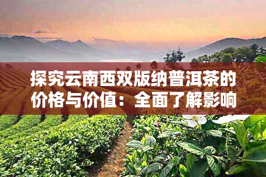 探究云南西双版纳普洱茶的价格与价值：全面了解影响因素及购买指南