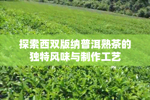 探索西双版纳普洱熟茶的独特风味与制作工艺