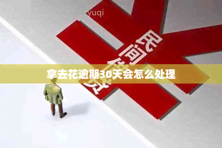 拿去花逾期30天会怎么处理