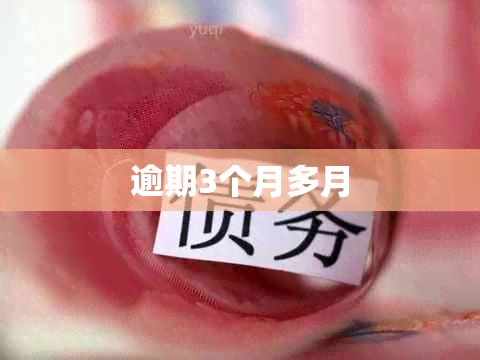 逾期3个月多月