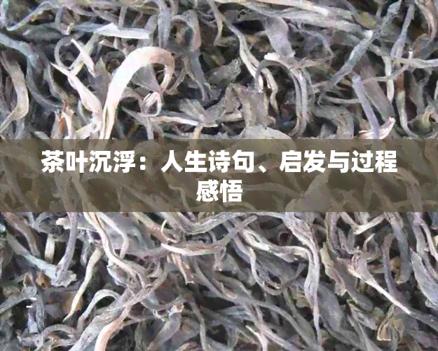 茶叶沉浮:人生诗句、启发与过程感悟