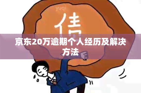 京东20万逾期个人经历及解决方法