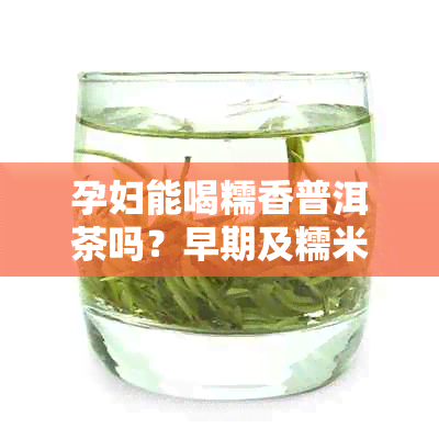孕妇能喝糯香普洱茶吗？早期及糯米普洱茶注意事项