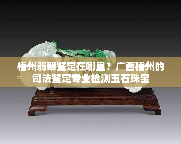 梧州翡翠鉴定在哪里？广西梧州的司法鉴定专业检测玉石珠宝