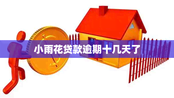 小雨花贷款逾期十几天了