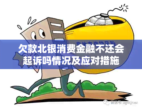 欠款北银消费金融不还会起诉吗情况及应对措施
