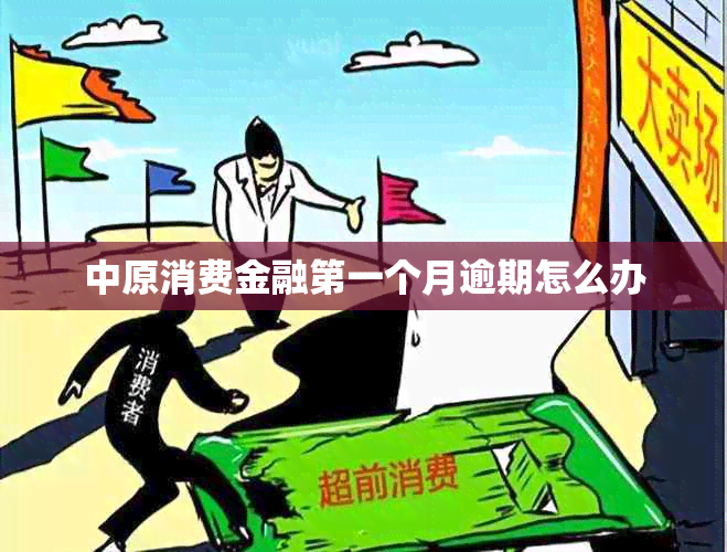 中原消费金融之一个月逾期怎么办