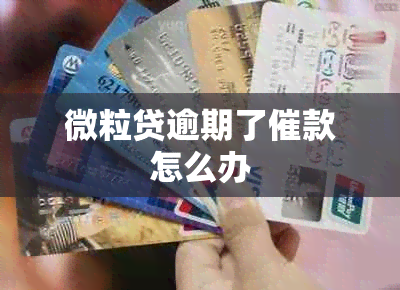 微粒贷逾期了催款怎么办