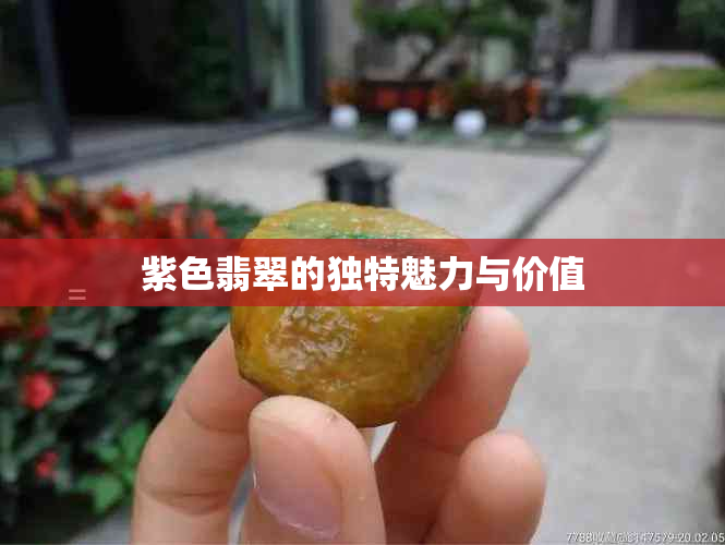 紫色翡翠的独特魅力与价值