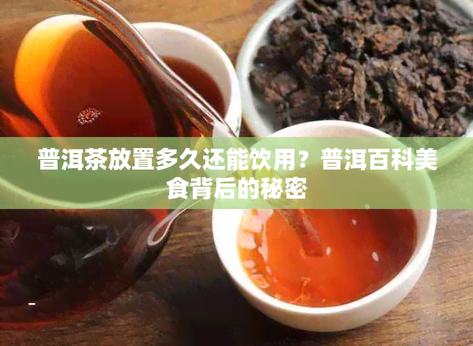 普洱茶放置多久还能饮用?普洱百科美食背后的秘密
