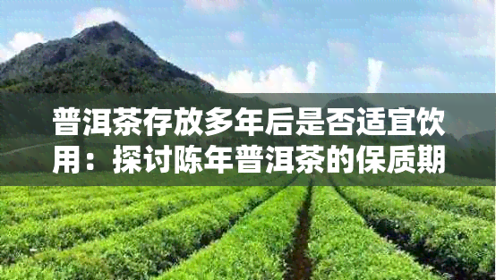 普洱茶存放多年后是否适宜饮用:探讨陈年普洱茶的保质期与饮用安全