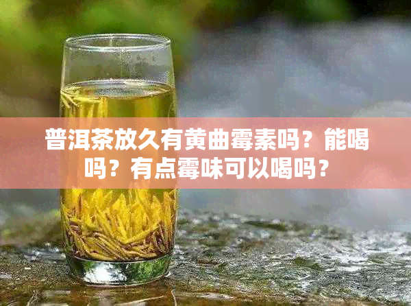 普洱茶放久有黄曲霉素吗?能喝吗?有点霉味可以喝吗?