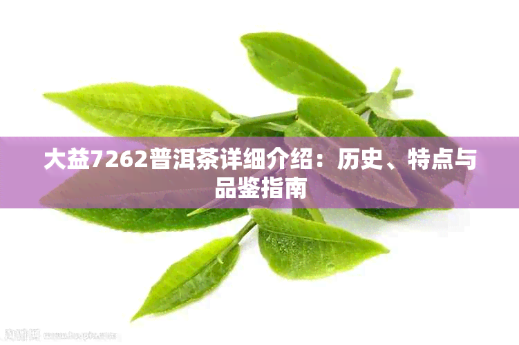 大益7262普洱茶详细介绍:历史、特点与品鉴指南