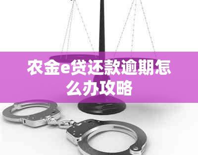 农金e贷还款逾期怎么办攻略