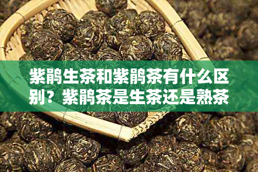 紫鹃生茶和紫鹃茶有什么区别?紫鹃茶是生茶还是熟茶
