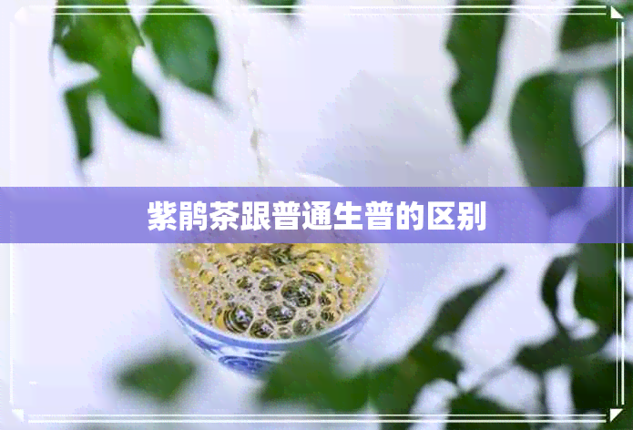 紫鹃茶跟普通生普的区别 紫鹃茶跟普通生普的区别
