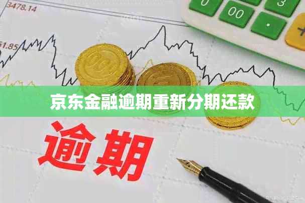 京东金融逾期重新分期还款