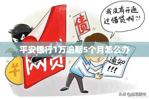 平安银行1万逾期5个月怎么办