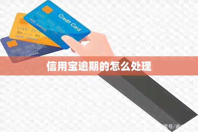 信用宝逾期的怎么处理