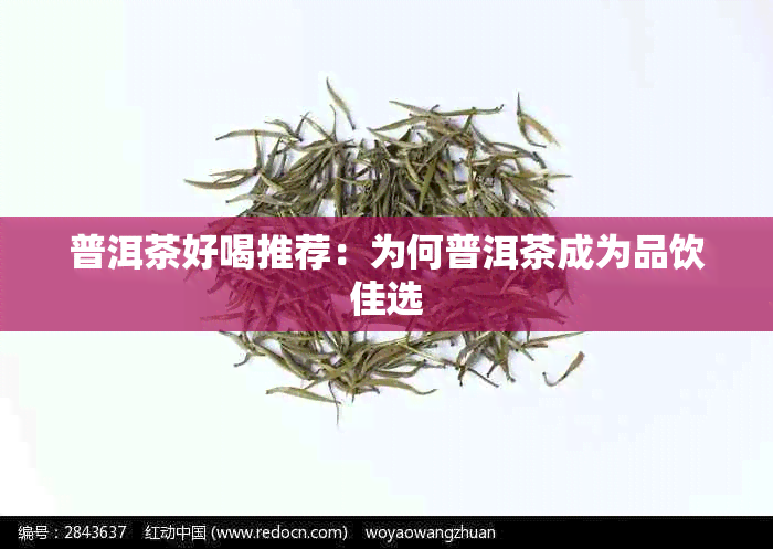 普洱茶好喝推荐：为何普洱茶成为品饮佳选