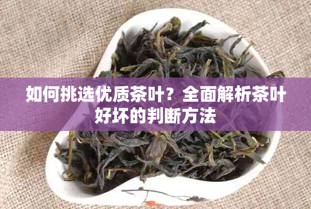 如何挑选优质茶叶？全面解析茶叶好坏的判断方法